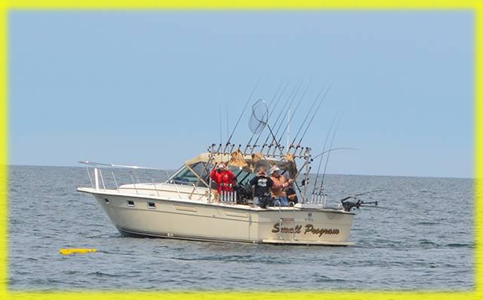 Small Program Charters trolling for Walleye on Lake Erie PA
