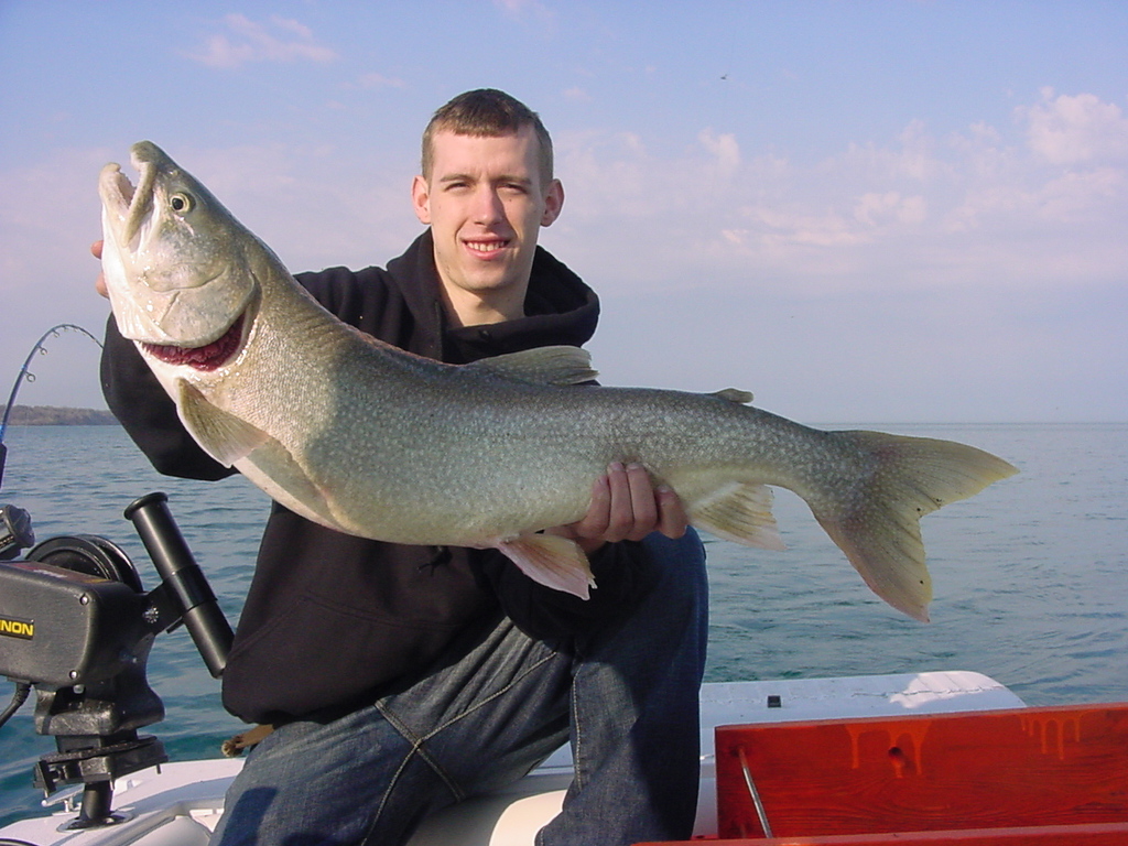 big lake trout
