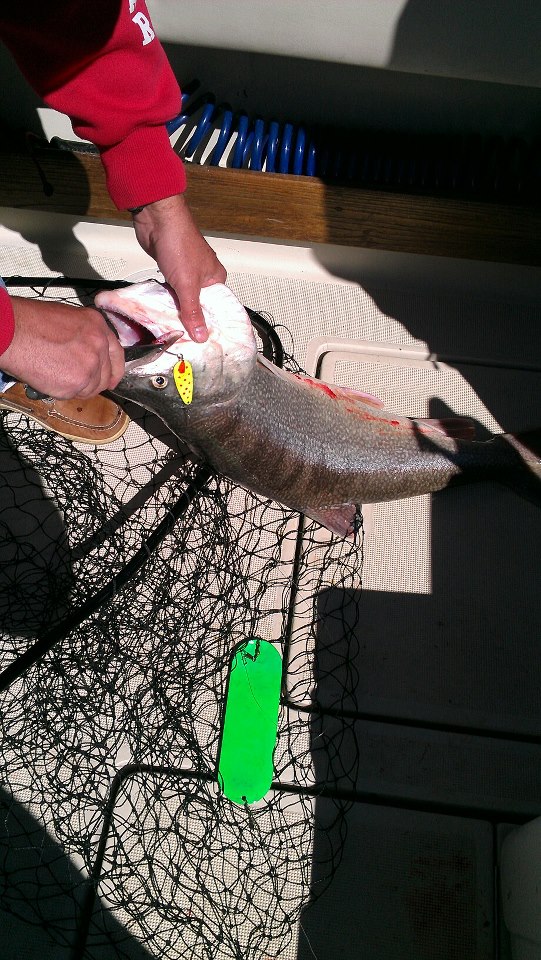 lake erie pa laker hits spoon and dodger